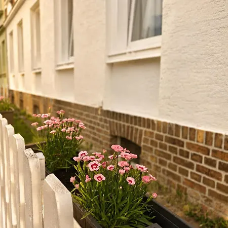 Glamping- Einzigartiges Zelten Im Ruhigen Garten Umgeben Von Obstbaeumen *